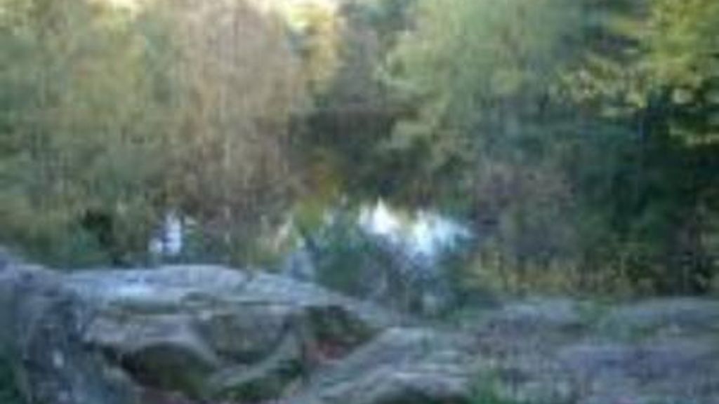 Gamleborg - Old Castle in Almindingen