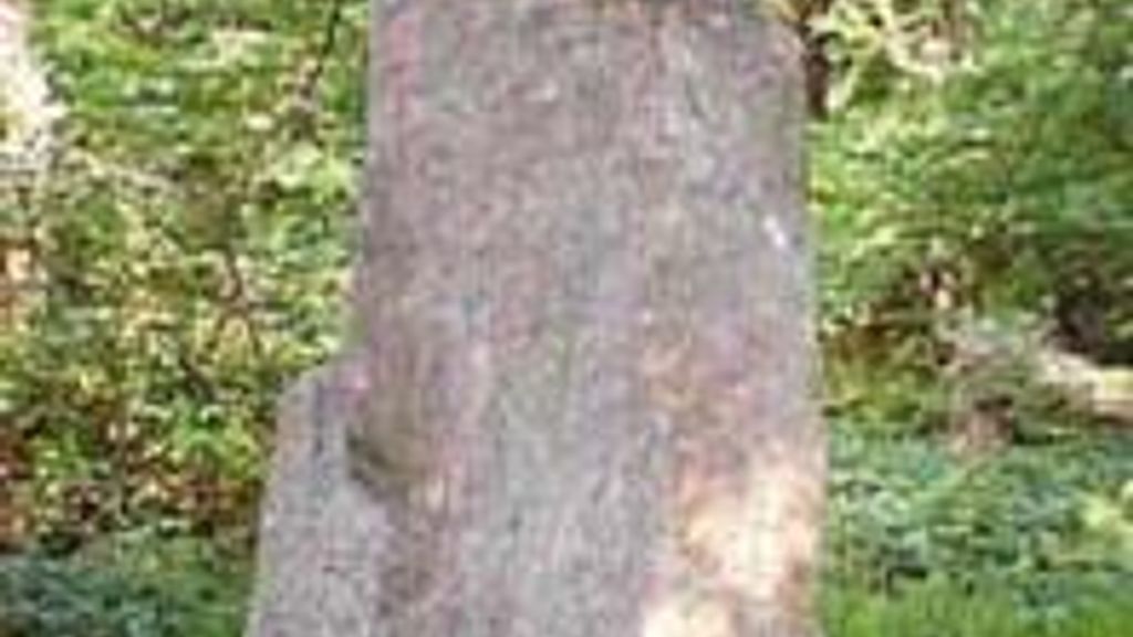 Gryet - Baotasteinen