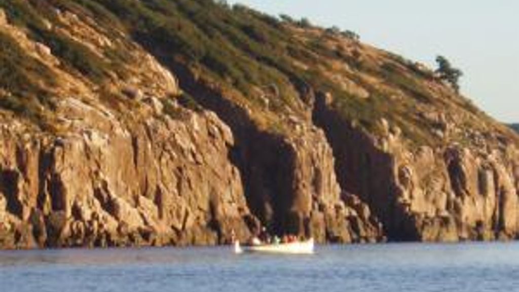 Hammerhavnens Bådfart