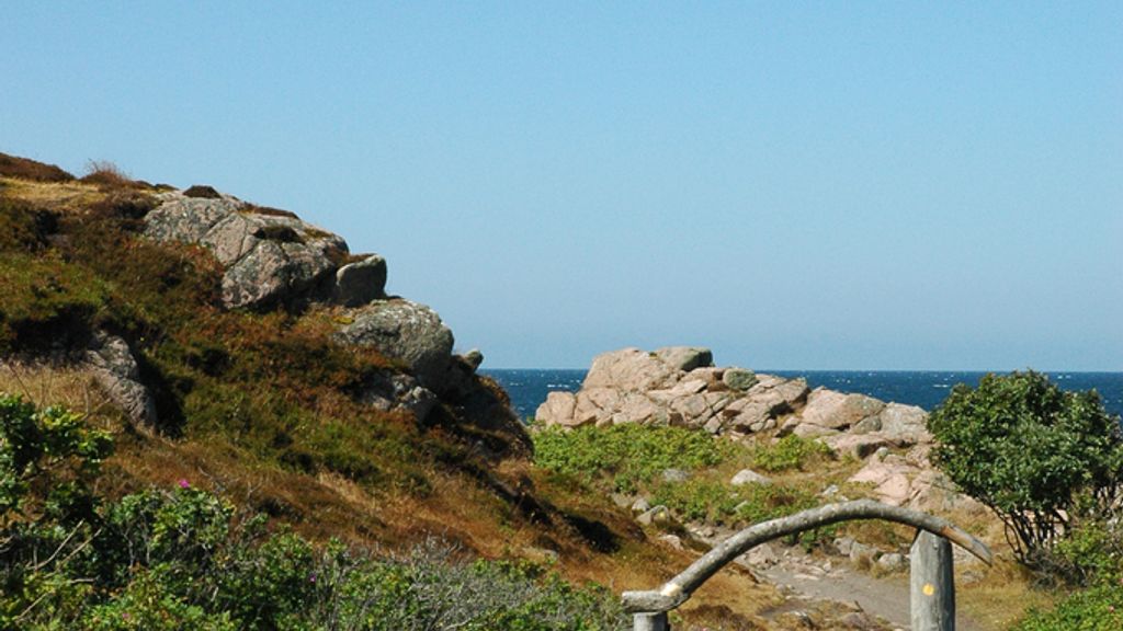 Hammerknuden (eller bare Hammeren)