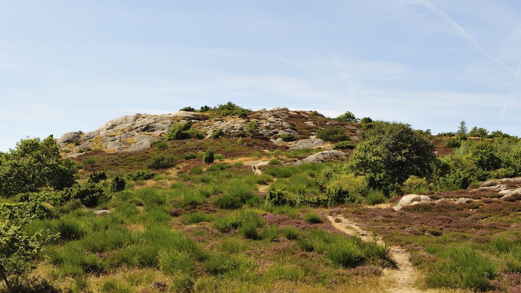 Hammerknuden (eller bare Hammeren)