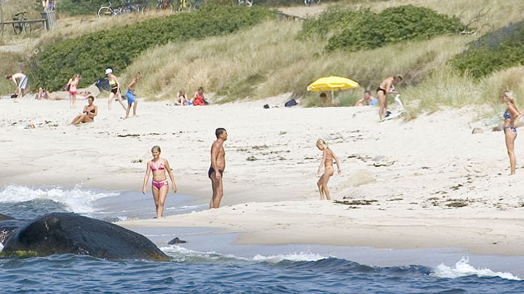 Stranden tæt på pladsen