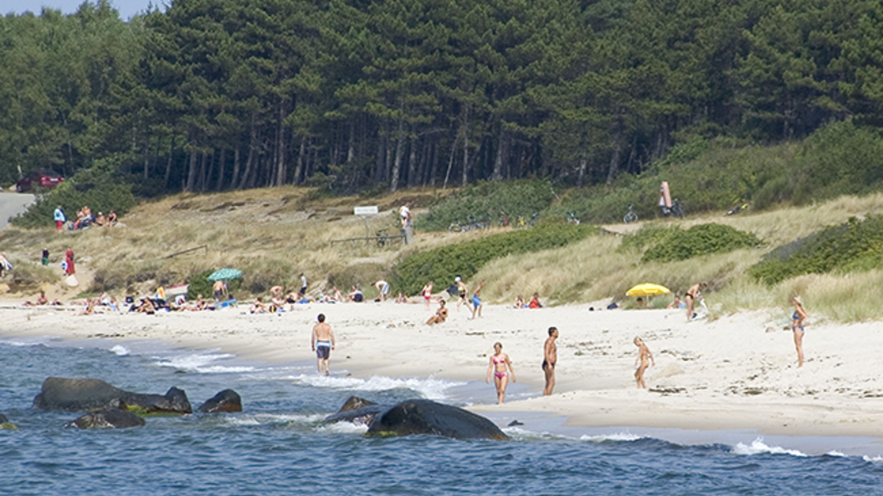 Hasle Camping und Hütte