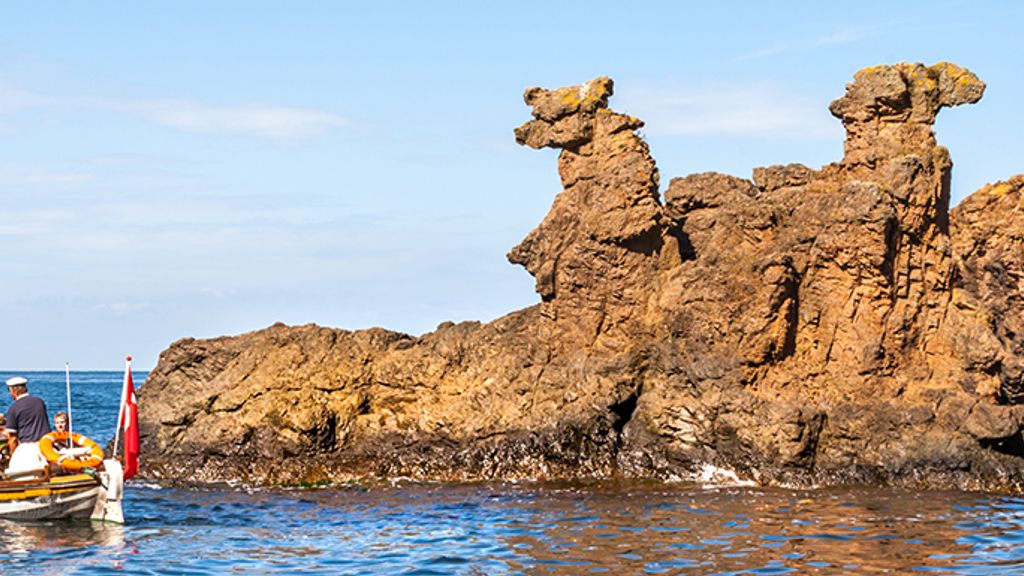 Kamelhovederne og Løvehovedet