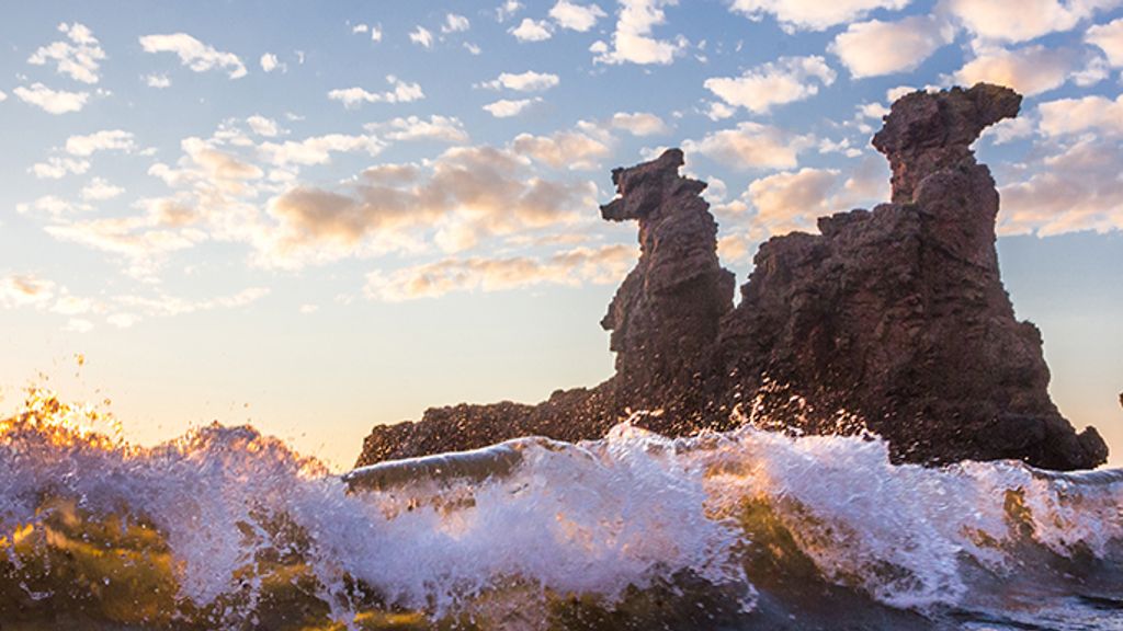 Kamelhovederne og Løvehovedet
