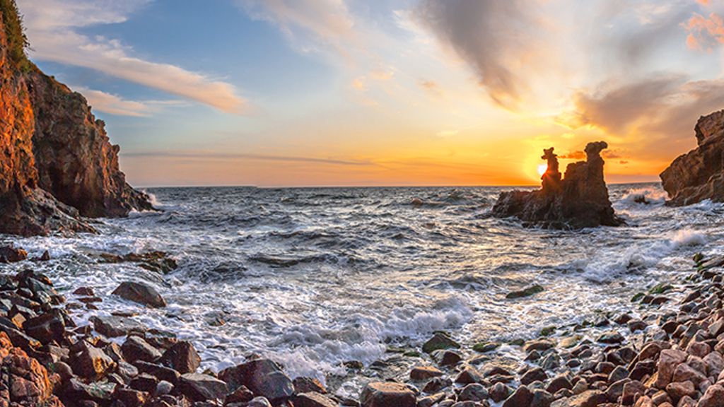 Kamelhovederne og Løvehovedet