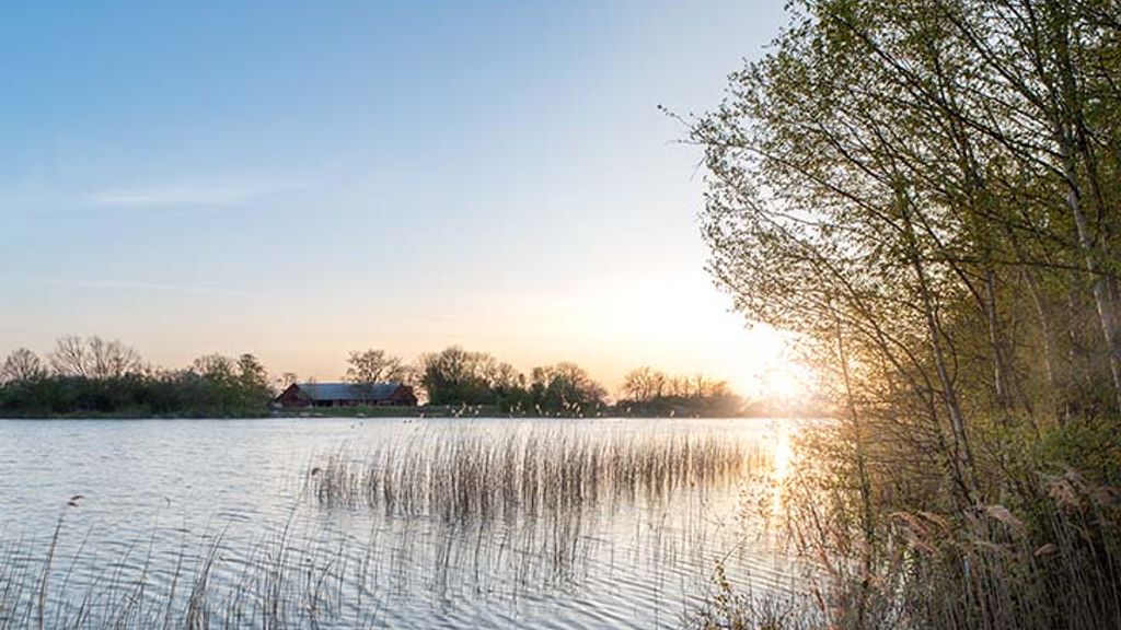 Kaolinsøen: Rønnes skjulte naturperle