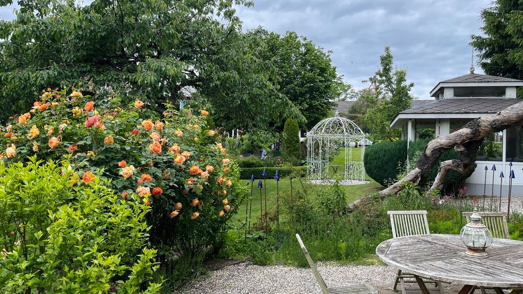 Sommerblomstring ved Japansk tehus, Blomsterpark KræmmerhusetBlomsterpark