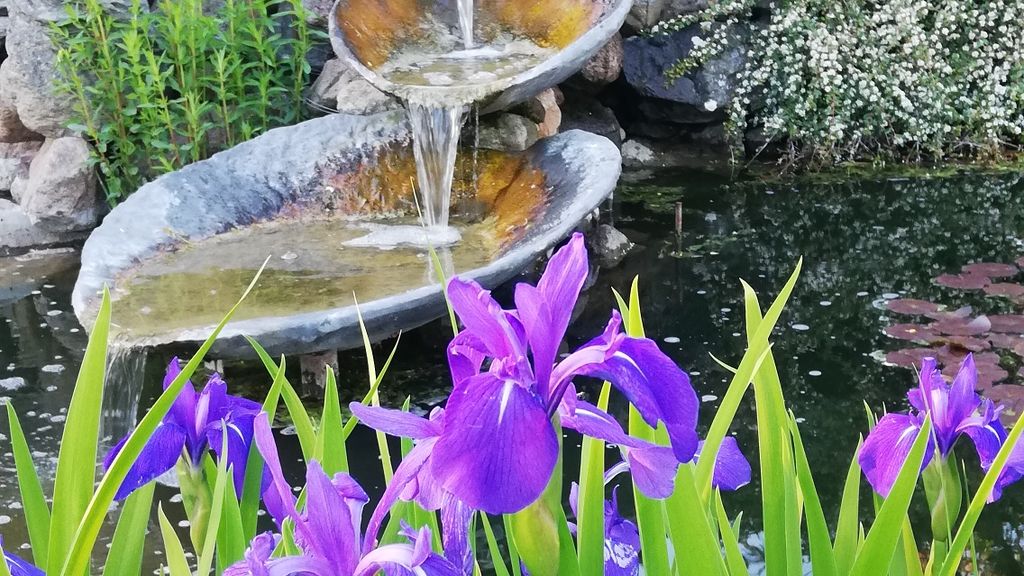Blomsterpark Stor dam med bro og vandkunst Kræmmerhuset