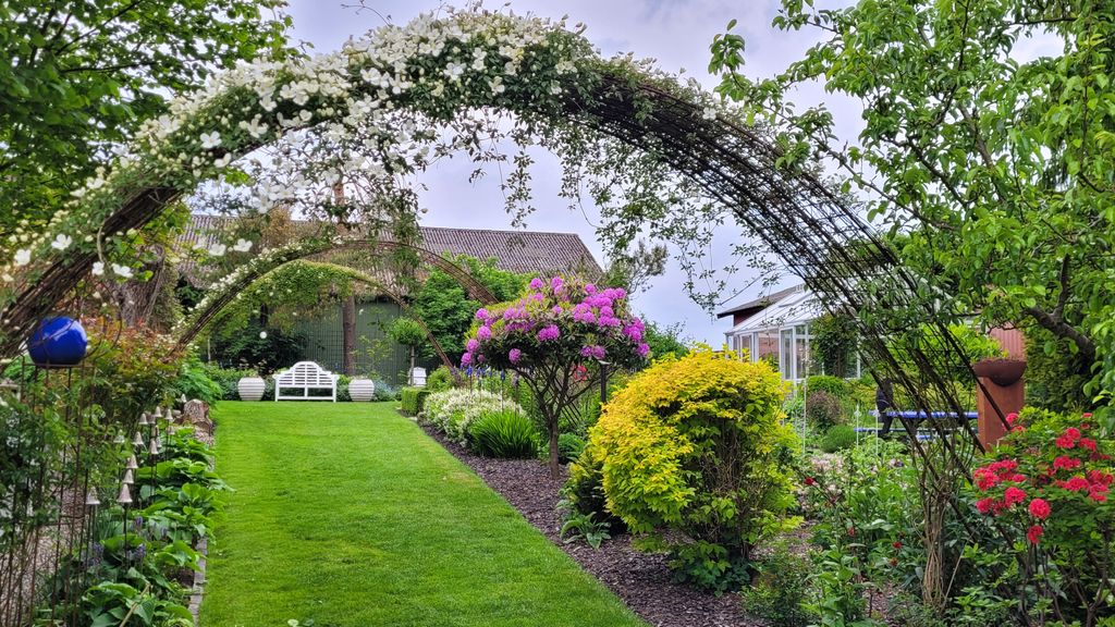 Klematisbuer i forårshaven i maj, Blomsterpark Kræmmerhuset