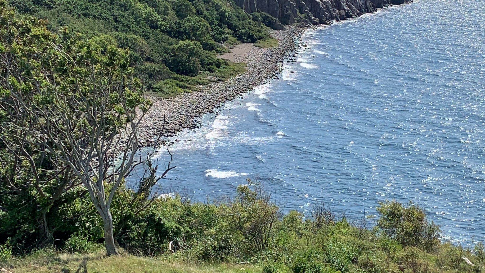 Kysten mellem Lyngholt og Hammershus