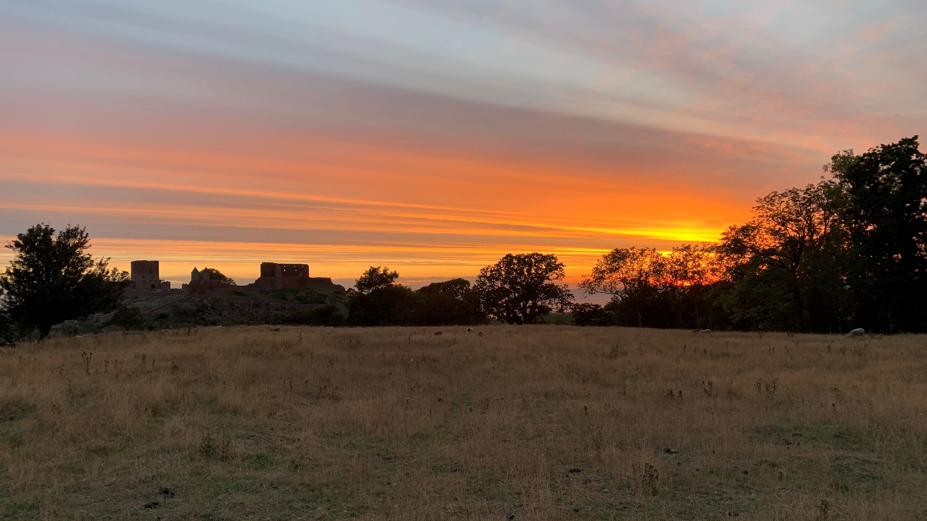 Hammershus ved solnedgang