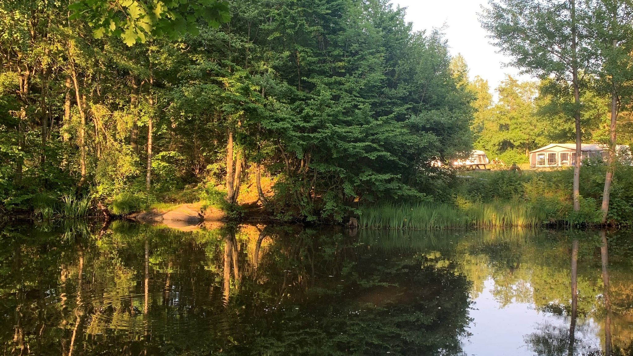 Fiskesø på Lyngholt Camping
