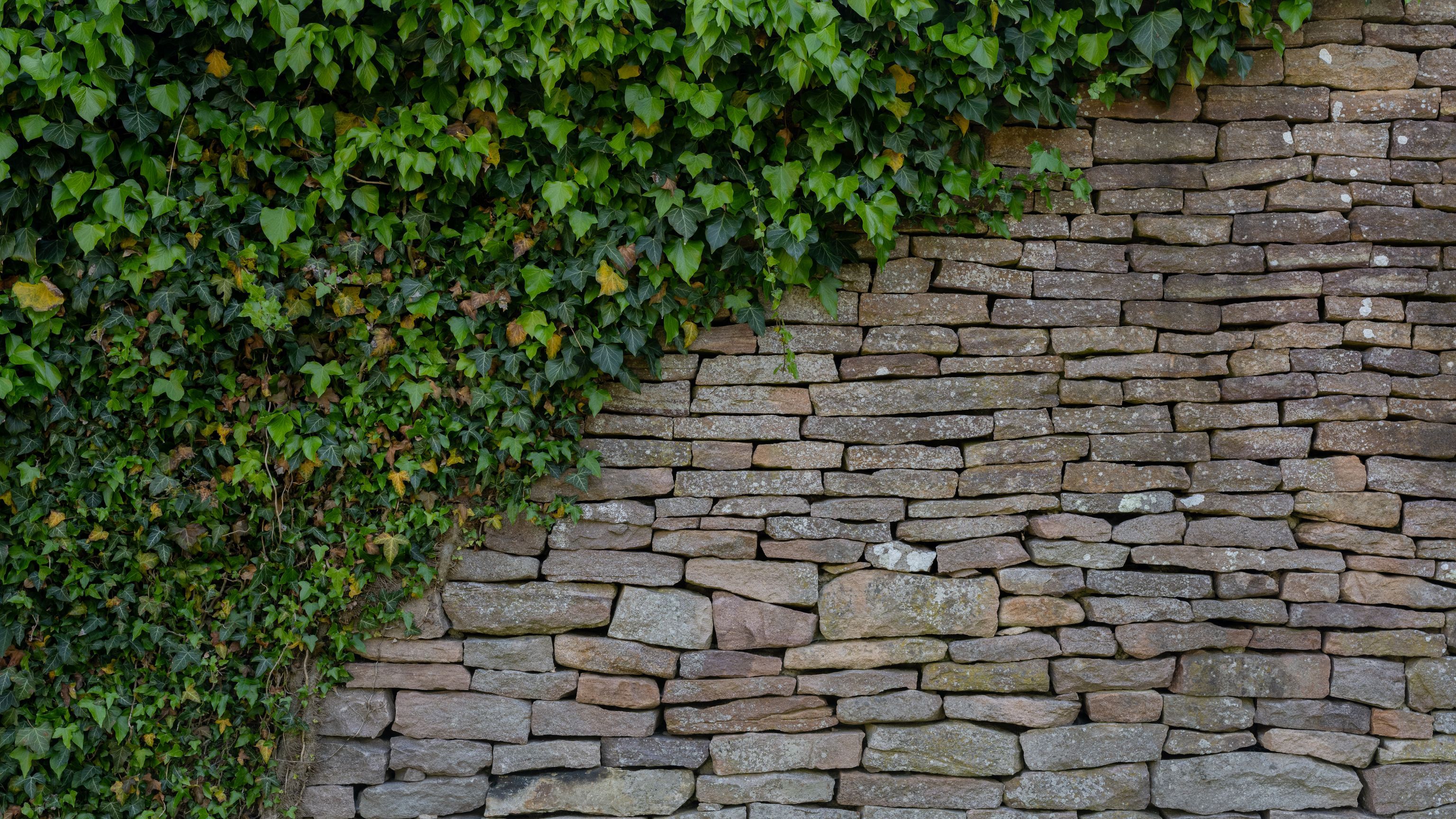 Martin Andersen Nexø hus