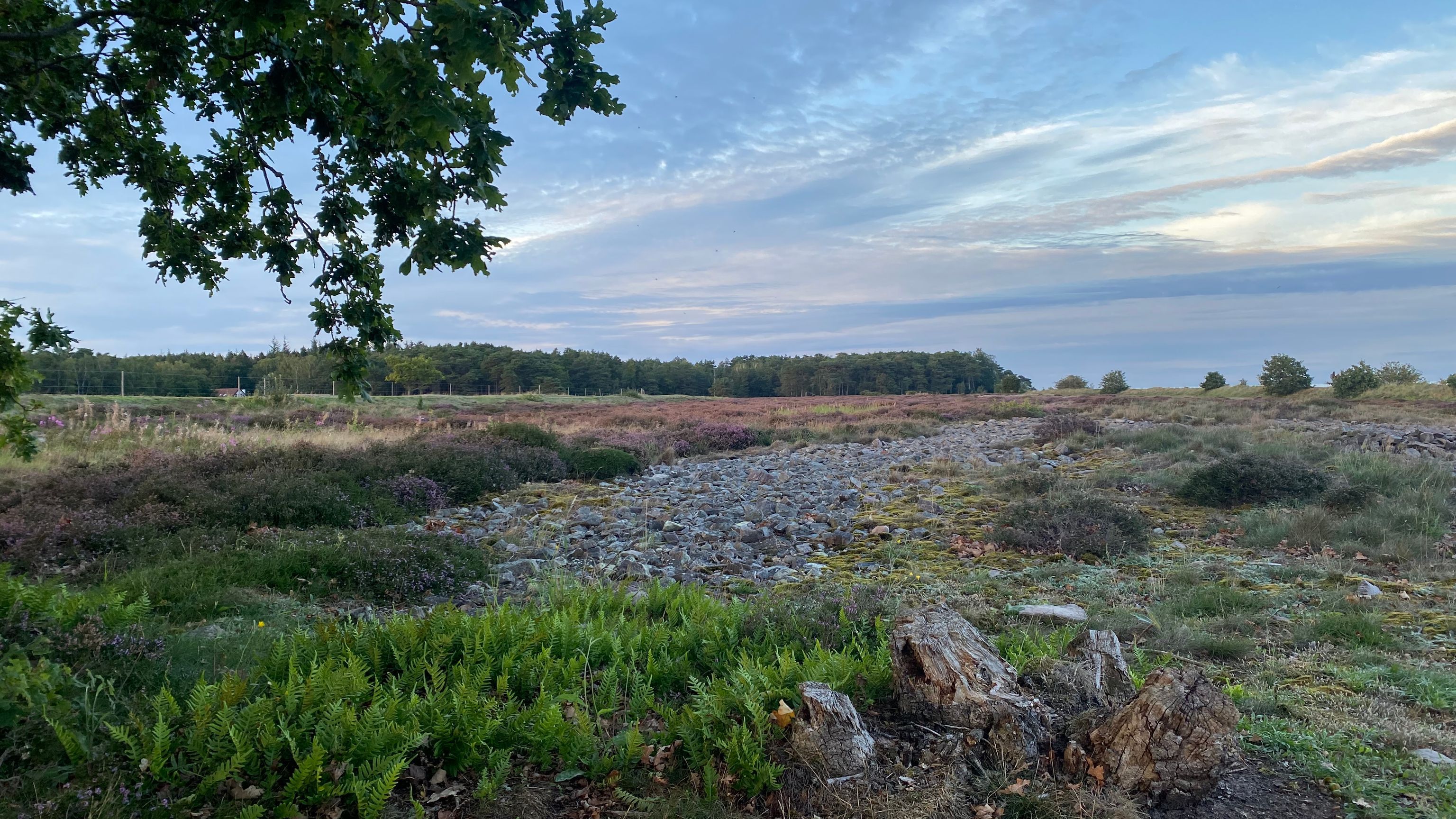 Martin Andersen Nexø hus