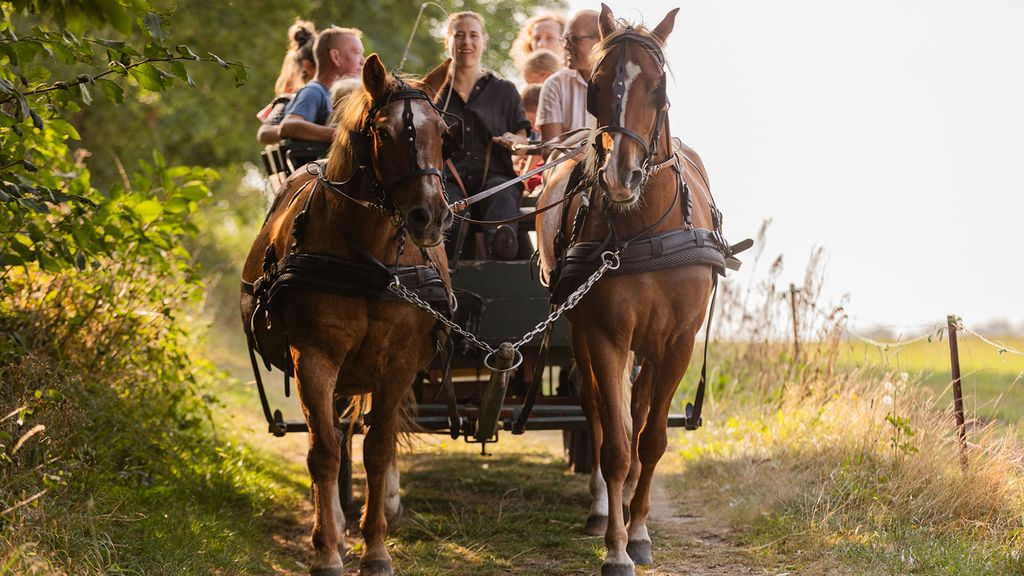 På tur med hestevogn på Melstedgård