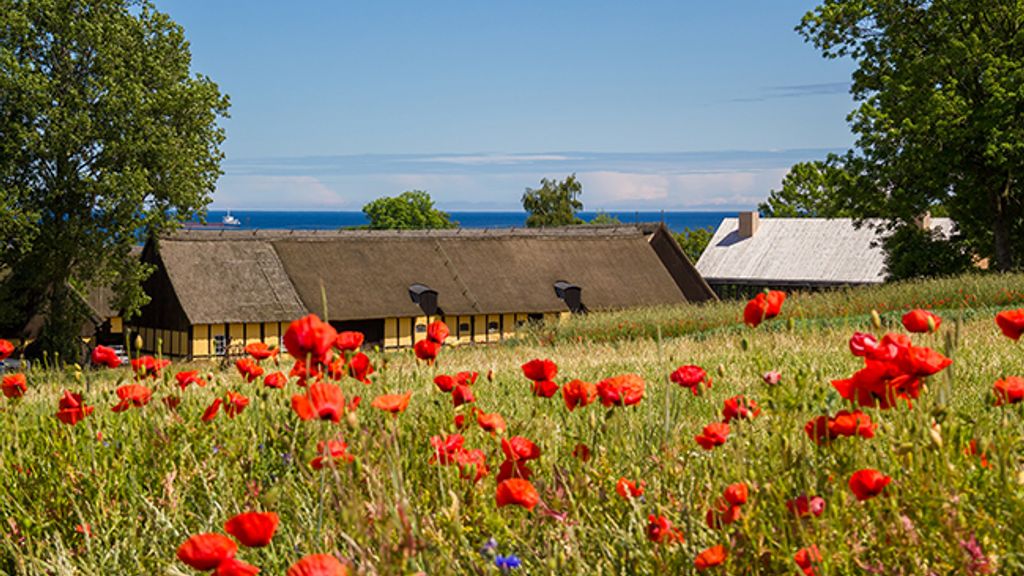Melstedgård - et levende gårdmuseum