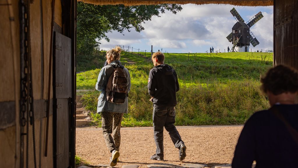 På den anden side af vejen kan du se heste, køer, geder og gæs, når du går op til den gamle mølle.