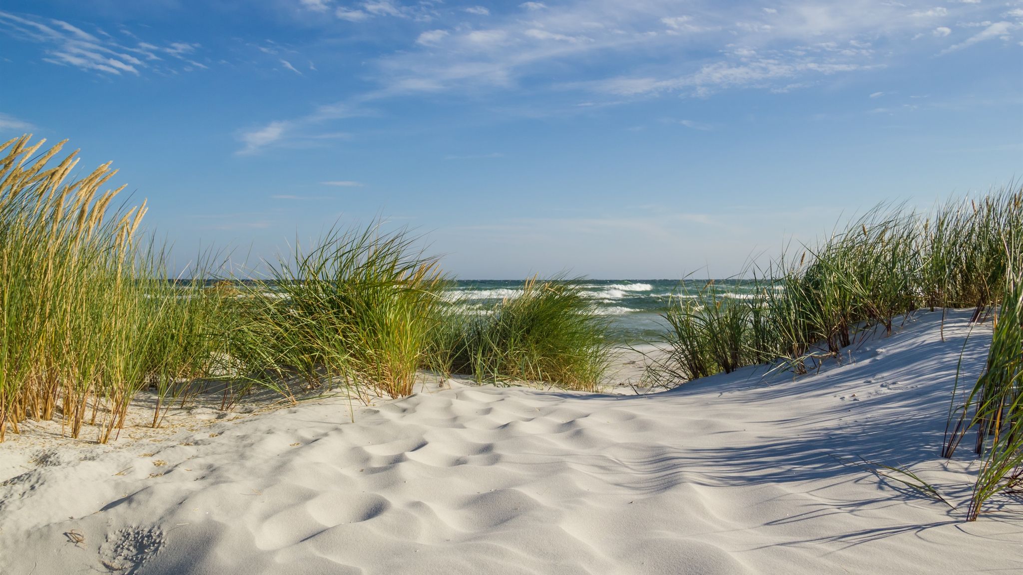 Møllers Dueodde Camping