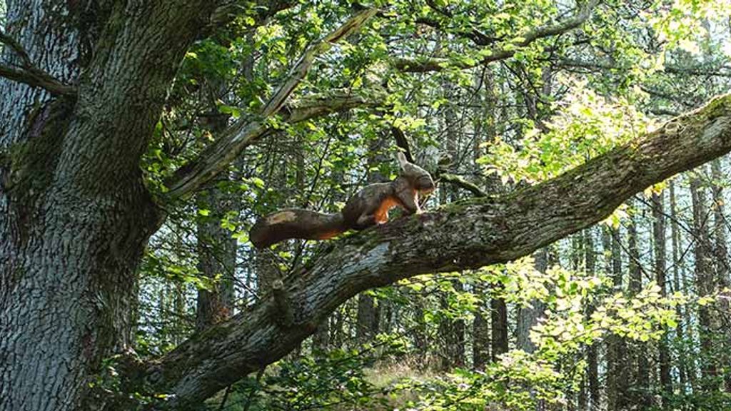 Musestien - oplevelsessti for børn i Almindingen