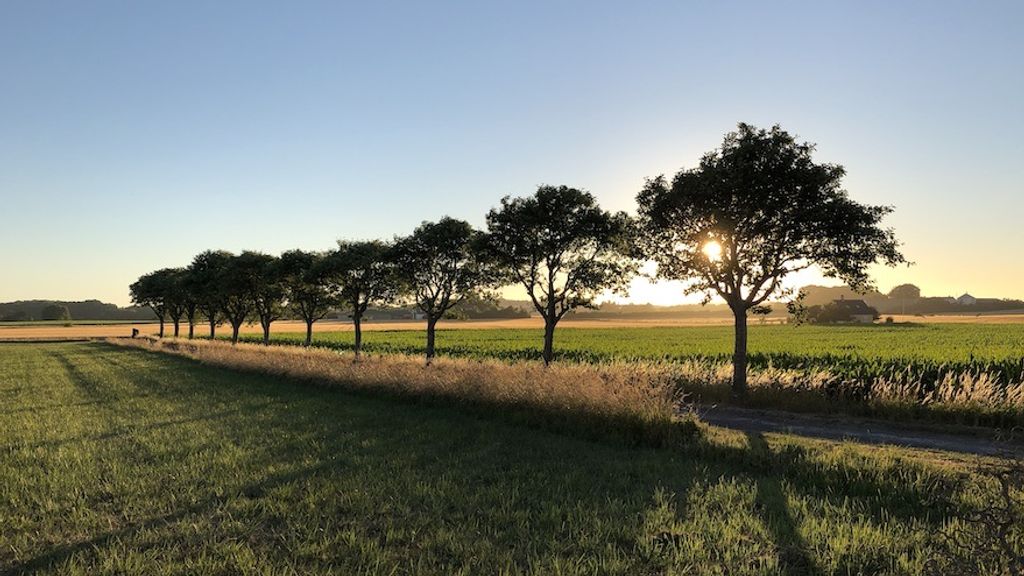 Myregaard Bed and Breakfast og Ferielejligheder