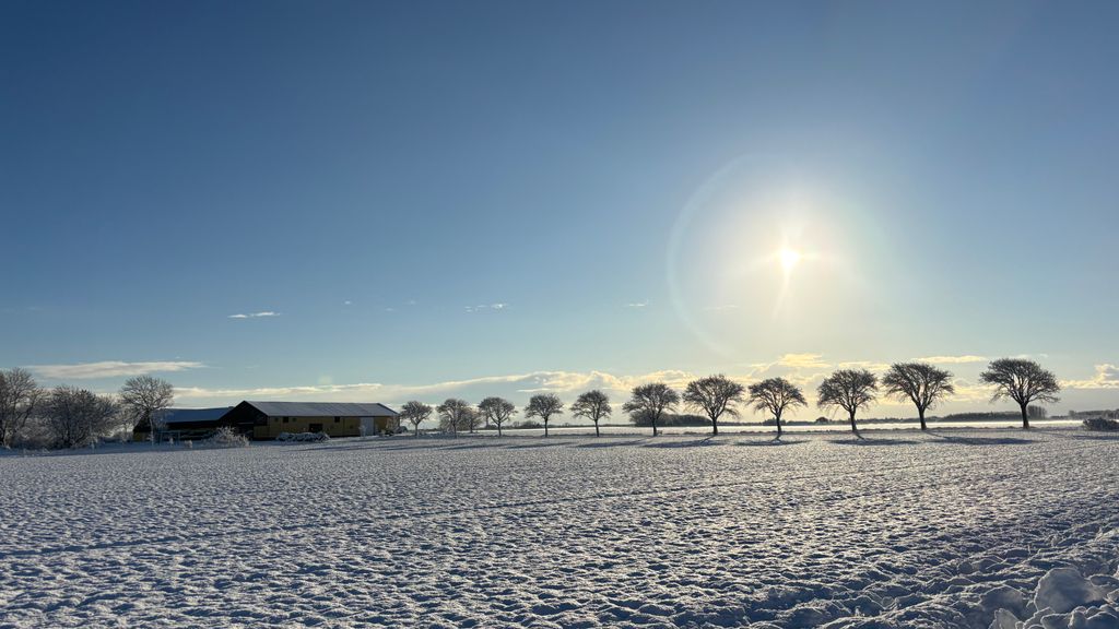 Myregaard B&B og Ferielejligheder