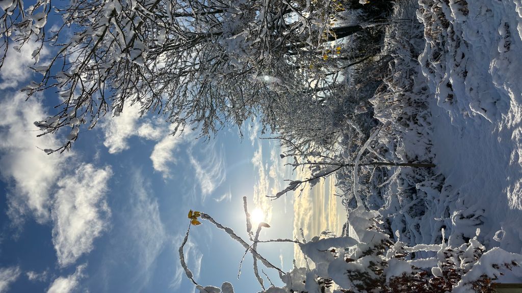 Myregaard Bed and Breakfast og Ferielejligheder