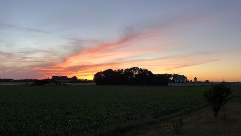 Myregaard Bed and Breakfast og Ferielejligheder