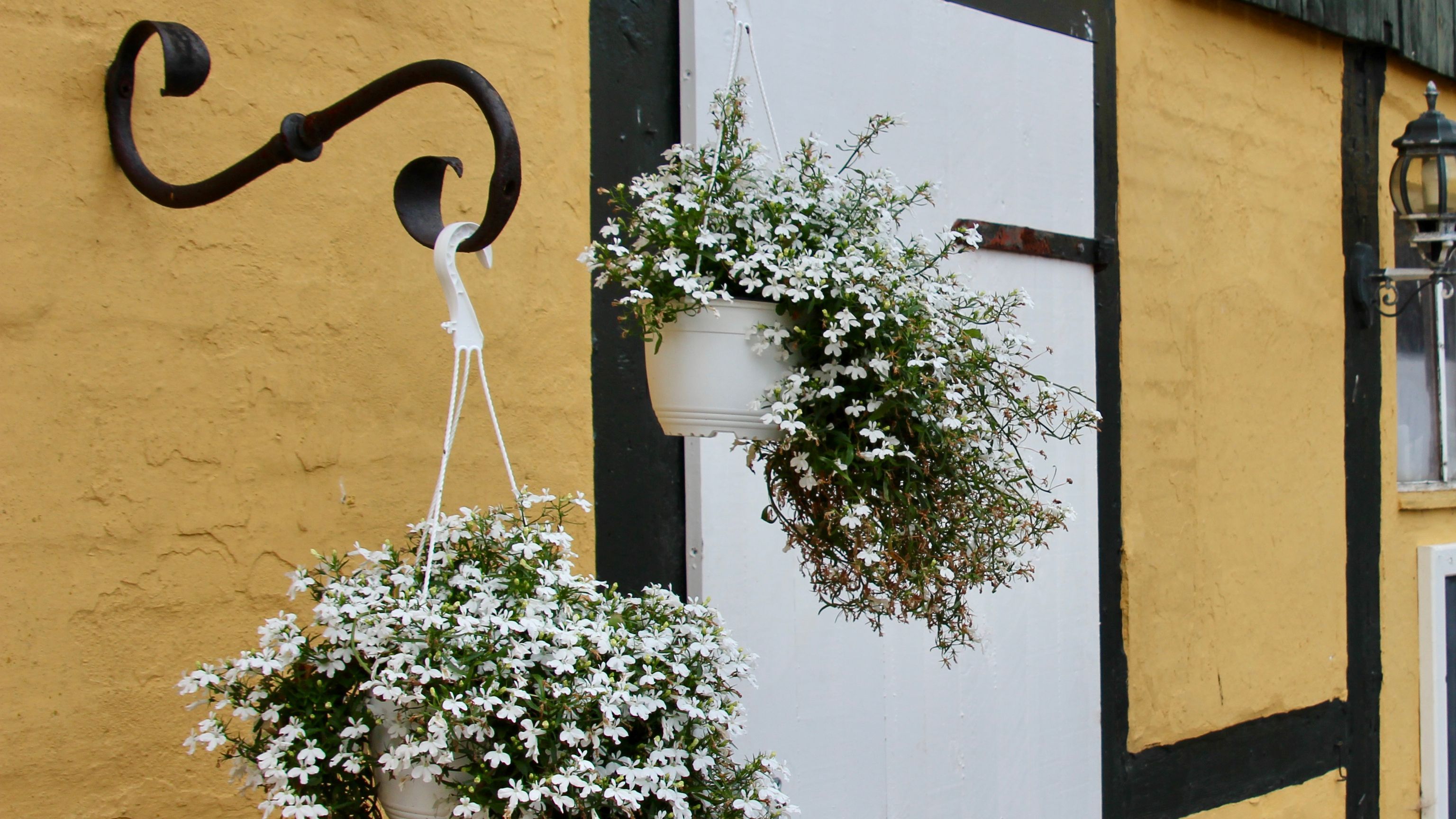 Myregaard Bed & Breakfast - Holiday Apartments