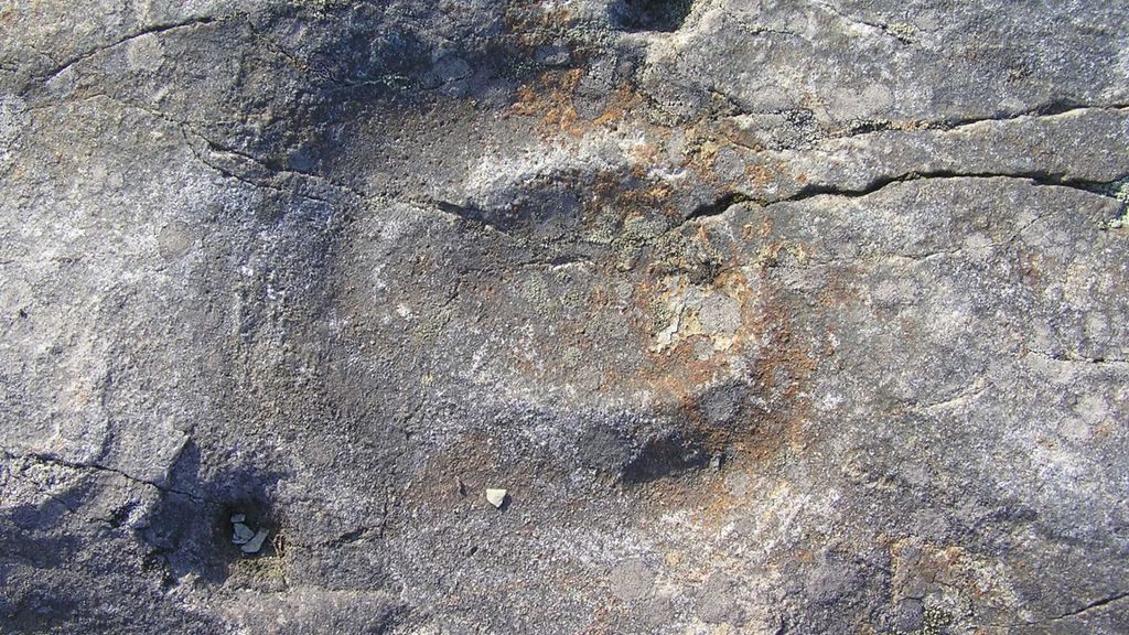 Den forstenede vandmand