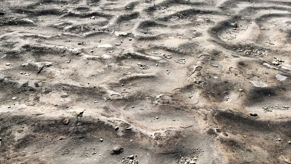 Den forstenede havbund