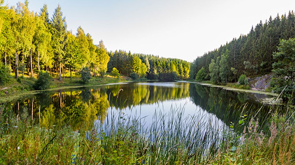 Naturstyrelsen Bornholm