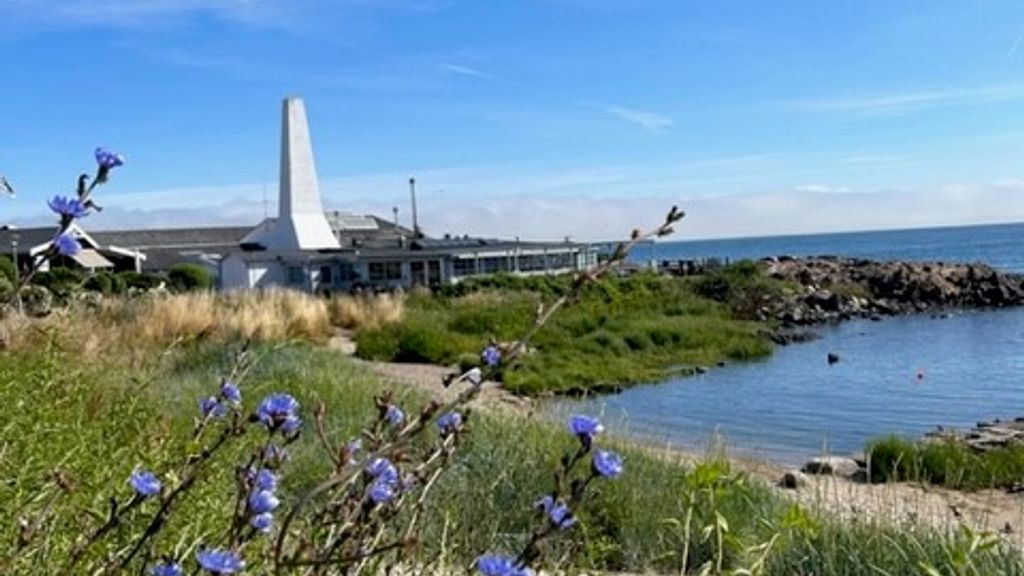 Nordbornholms Røgeri