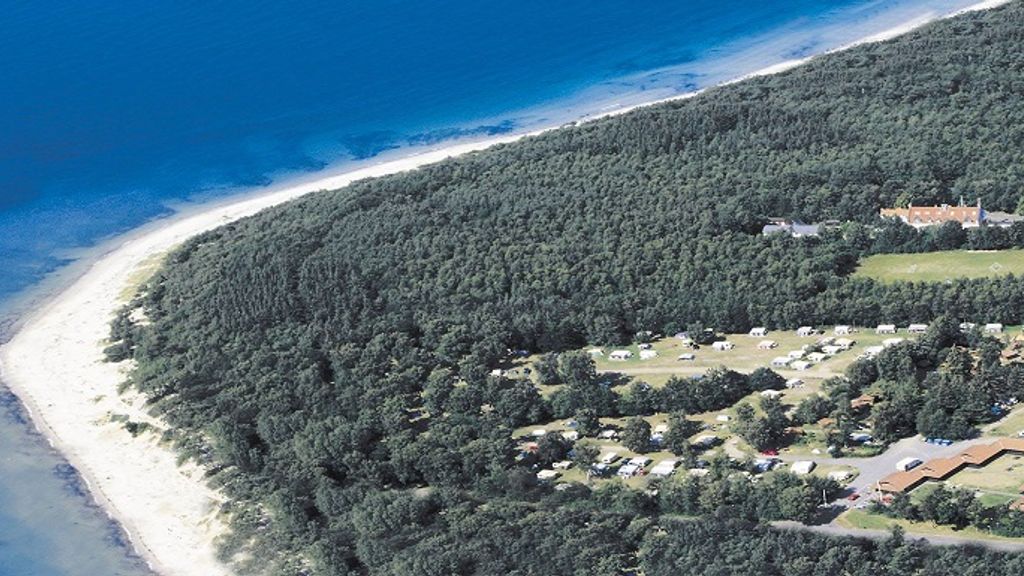 Nordskoven: Naturoplevelser og familiens udfoldelsessted