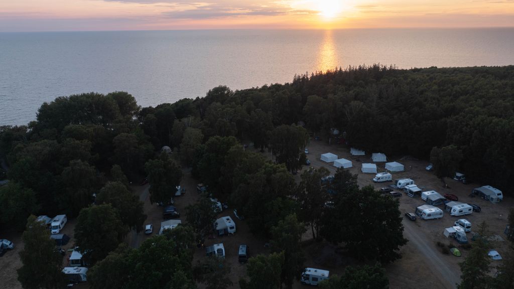 Solnedgang over Nordskoven