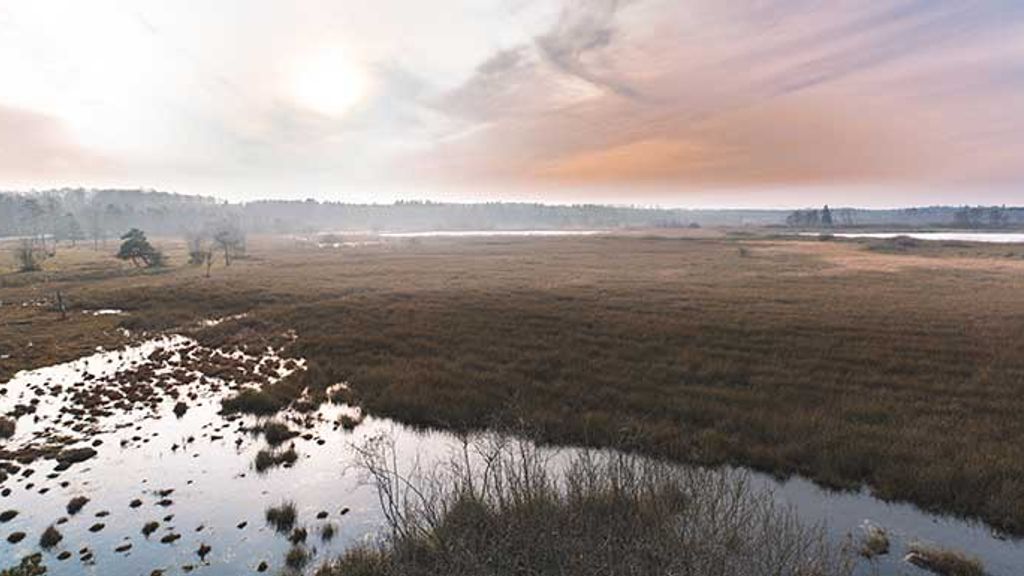 Ølene Vildtreservat