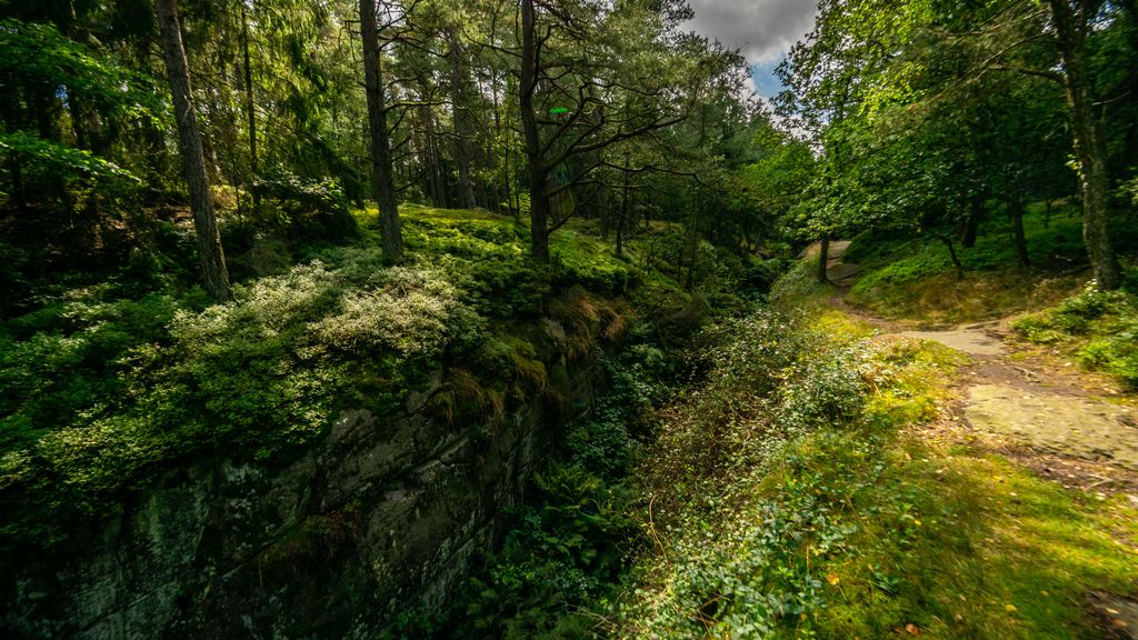 Dybedal i Paradisbakkerne