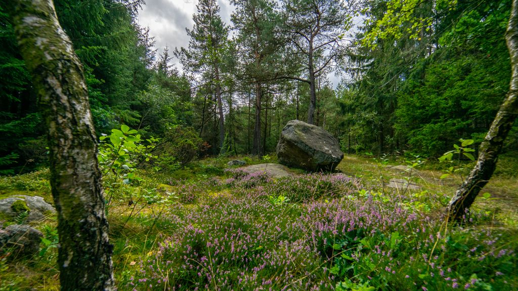 Trommerestenen i Paradisbakkerne