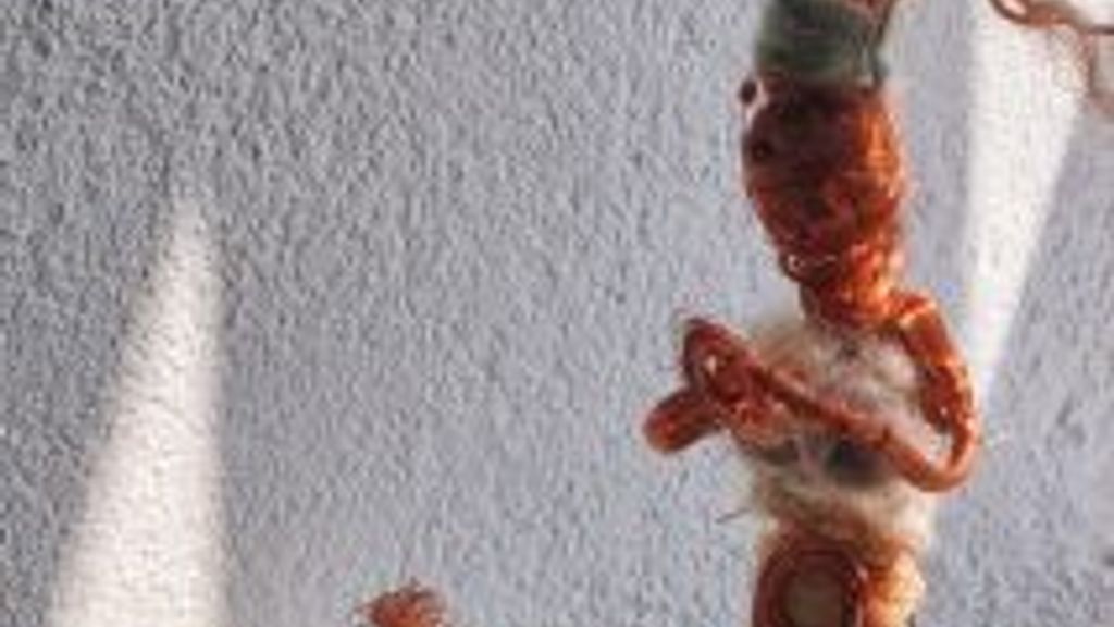 Kunst med arbejdende kunstner, Jannice Kinnear.