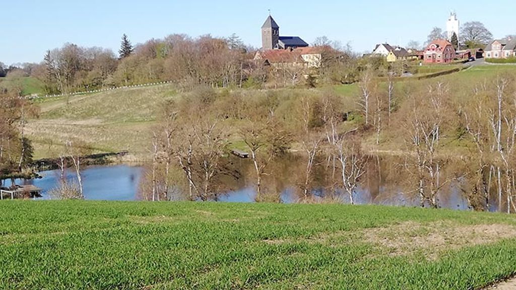 Præstemosen i Klemensker