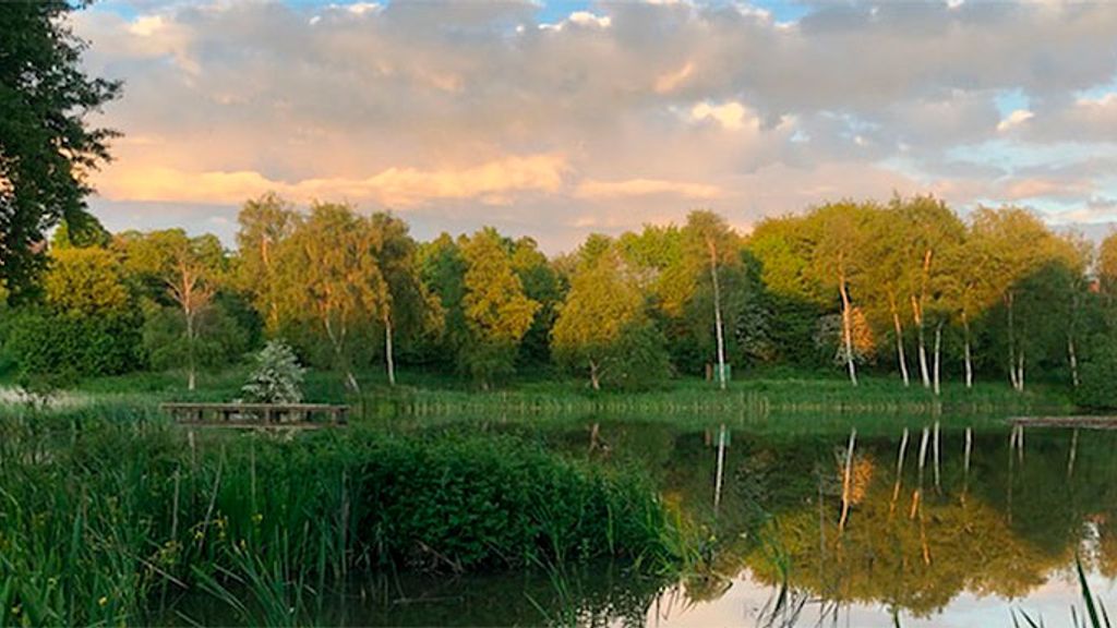 Præstemosen i Klemensker