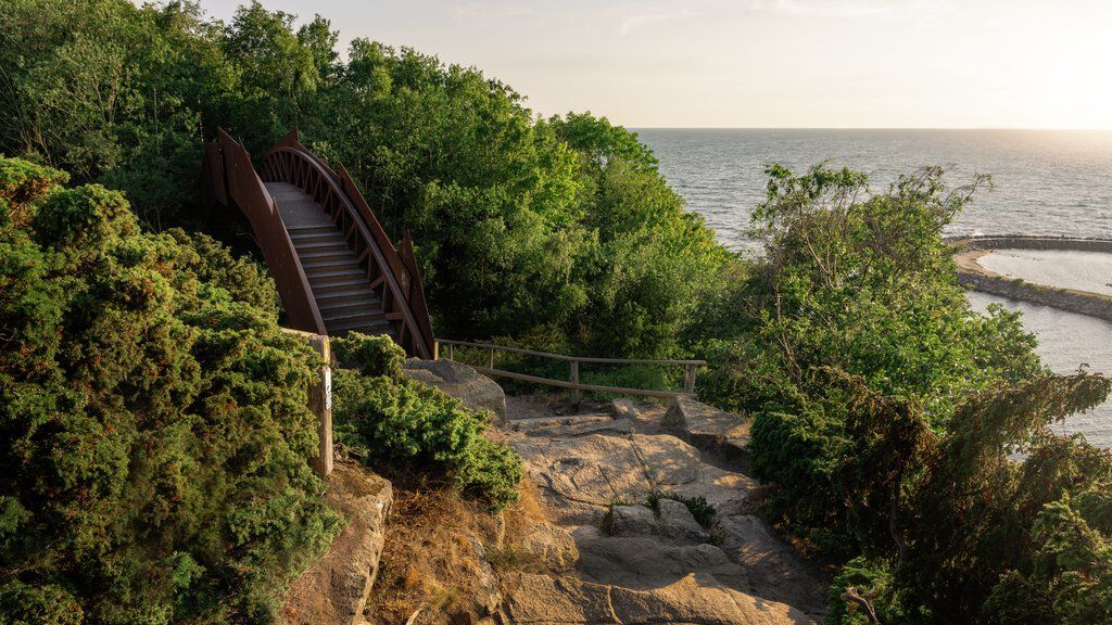 DGI broen i Ringebakkerne