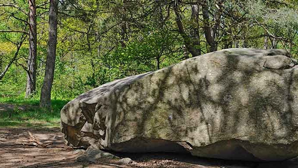 Rokkestenen i Rutsker Højlyng