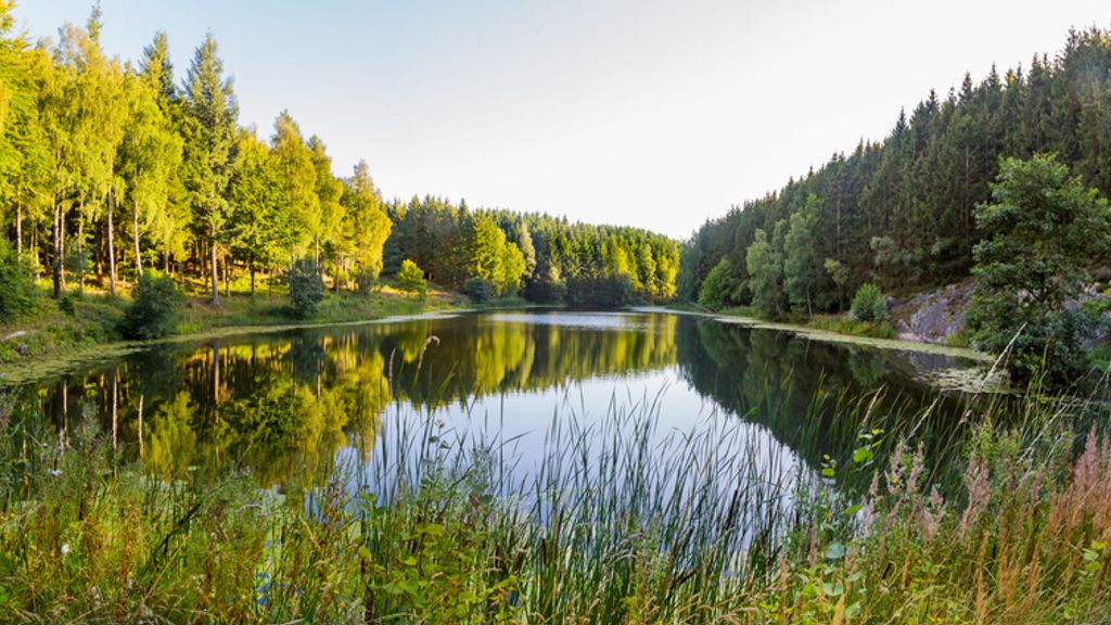 Borgedalssøen i Rø Plantage