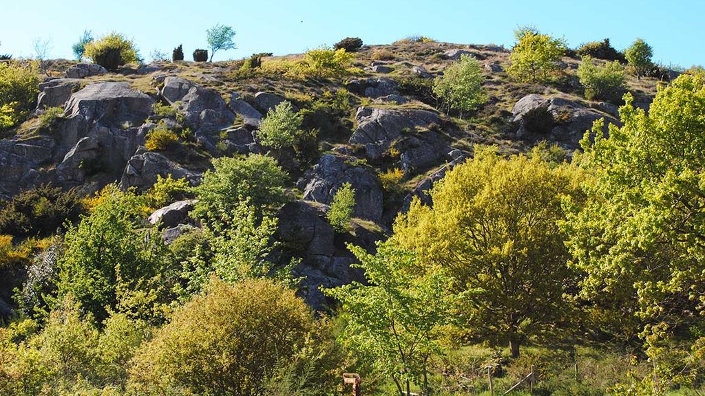 Sandvig Søpark