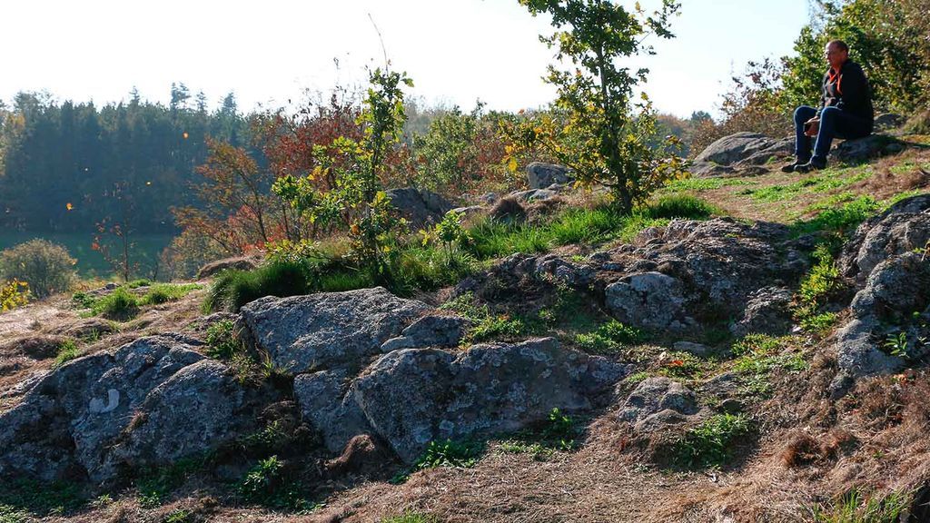 Storeborg at Spællinge Mose