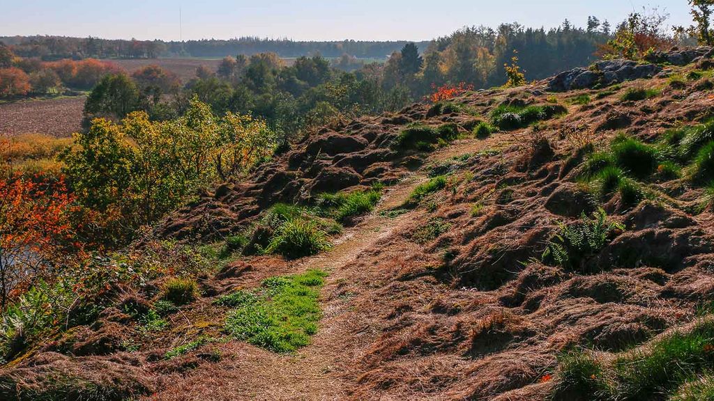 Storeborg ved Spællinge Mose