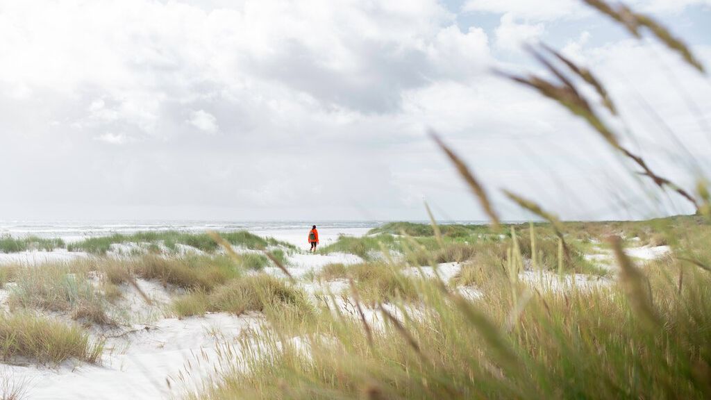 Strandmarken ved Dueodde