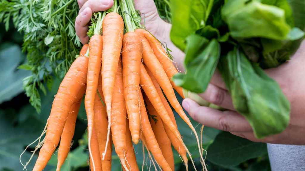 Svaneke Bryghus Restaurant