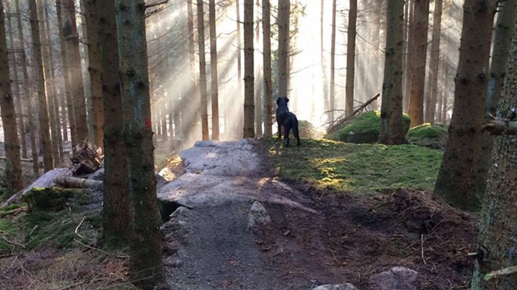 Trailcenter Bornholm